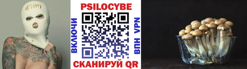 Псилоцибиновые грибы Psilocybine cubensis  хочу наркоту  Ужур 